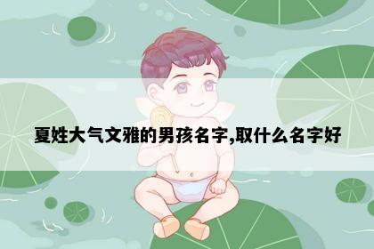 夏姓大气文雅的男孩名字,取什么名字好