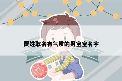 贾姓取名有气质的男宝宝名字