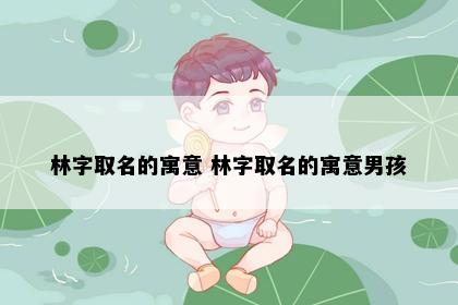 林字取名的寓意 林字取名的寓意男孩