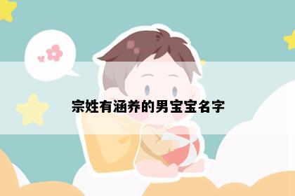 宗姓有涵养的男宝宝名字