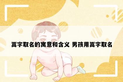 嵩字取名的寓意和含义 男孩用嵩字取名