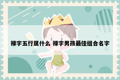 禄字五行属什么 禄字男孩最佳组合名字